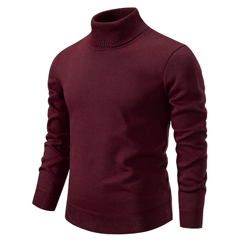 Torin | Rollkragenpullover